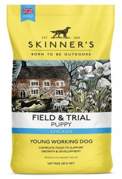 F & T Puppy- Skinners